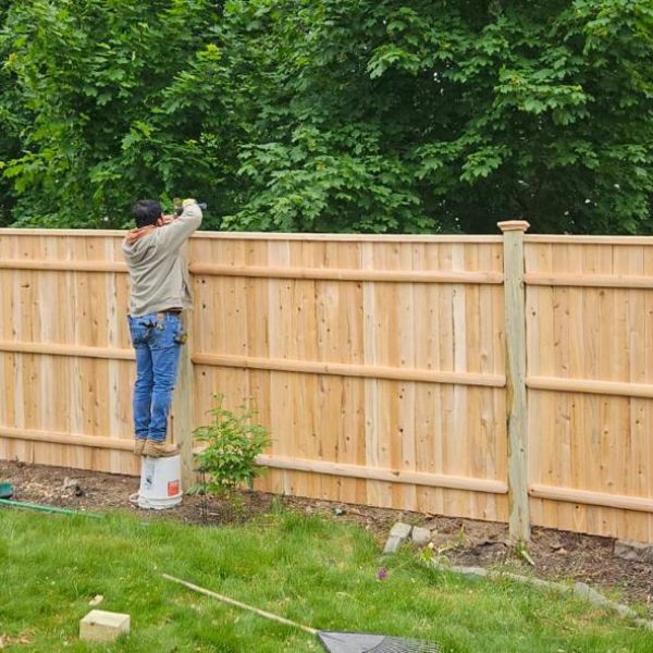 WhatsApp Image 2026-02-06 at 19.46.15